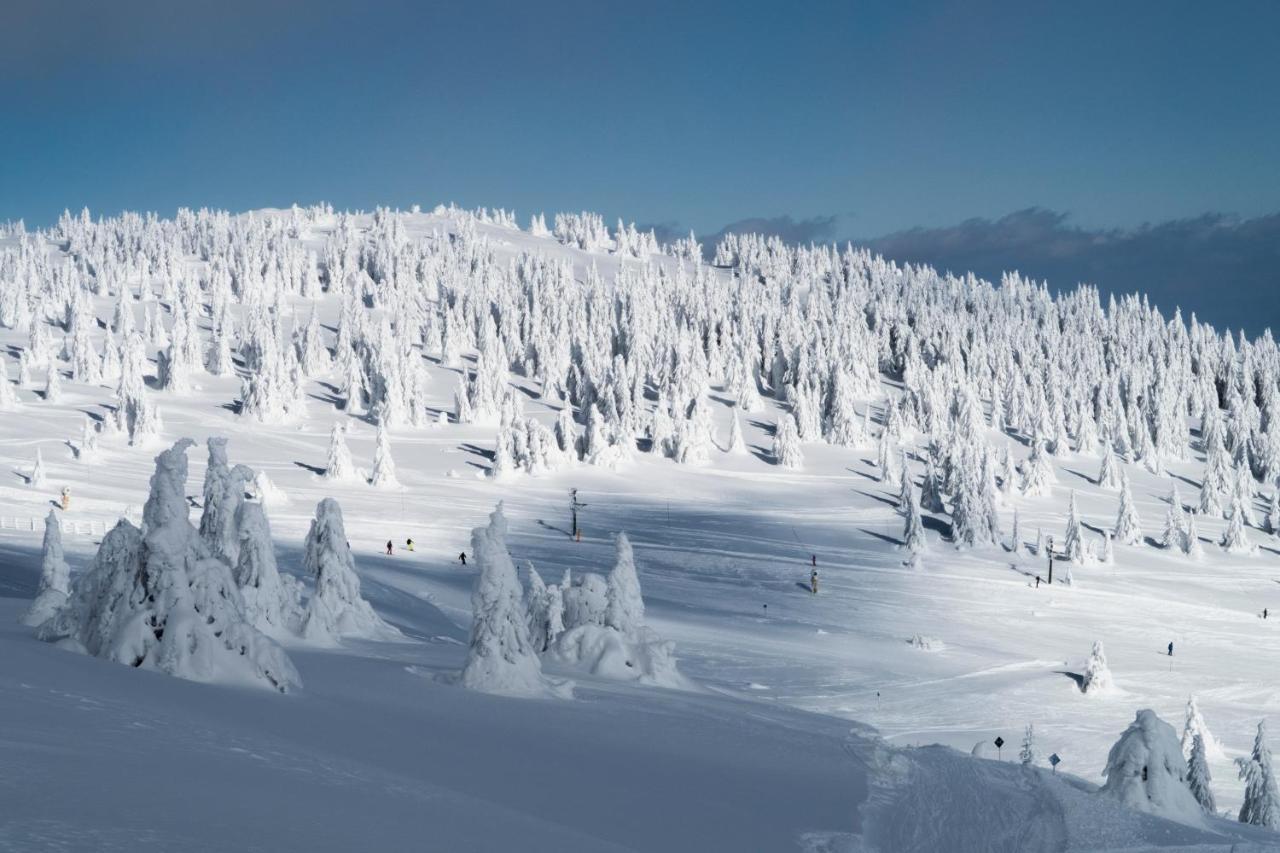 Kostovac Boutique Homes - House 1 Kopaonik Bagian luar foto