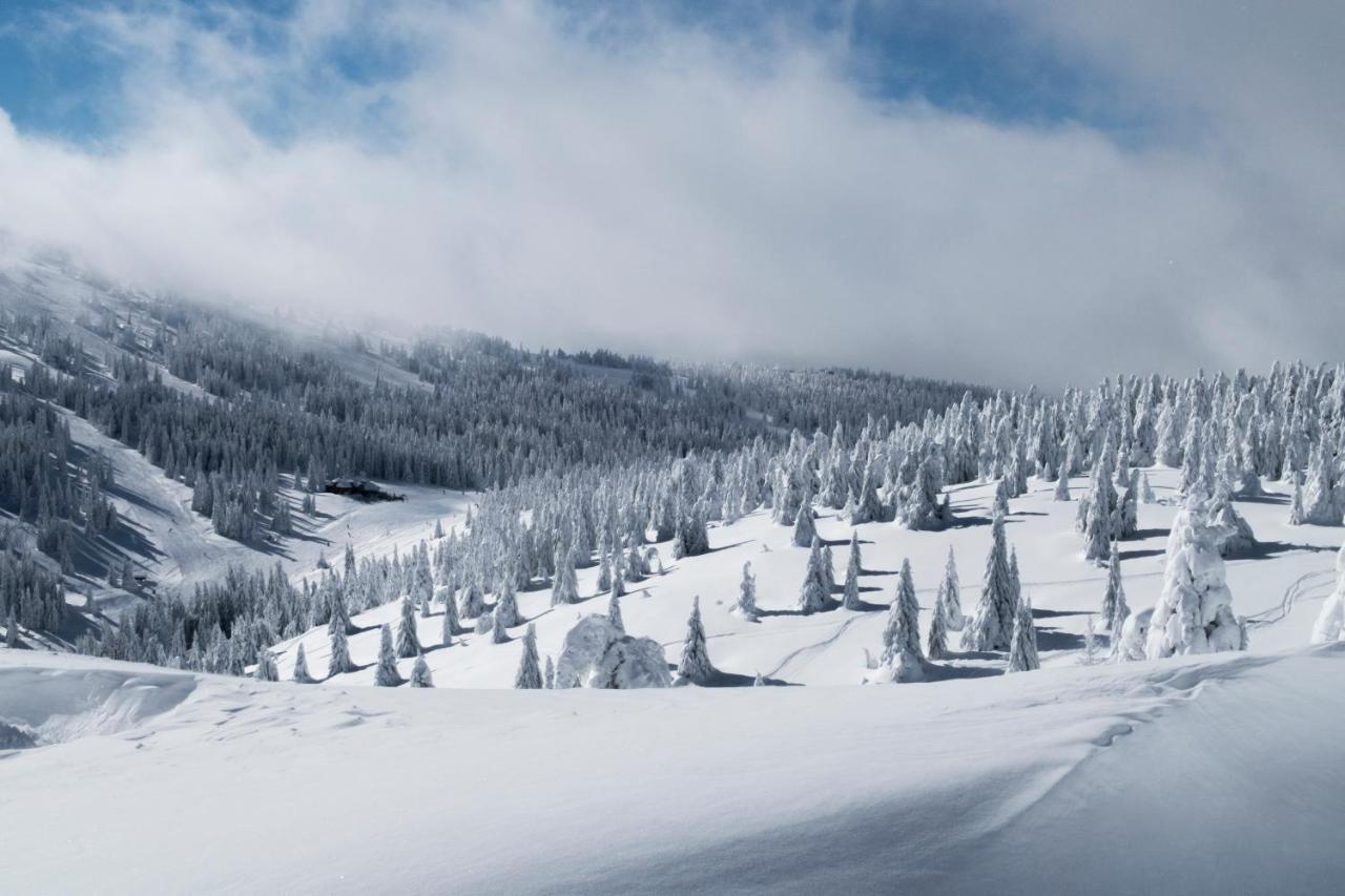 Kostovac Boutique Homes - House 1 Kopaonik Bagian luar foto